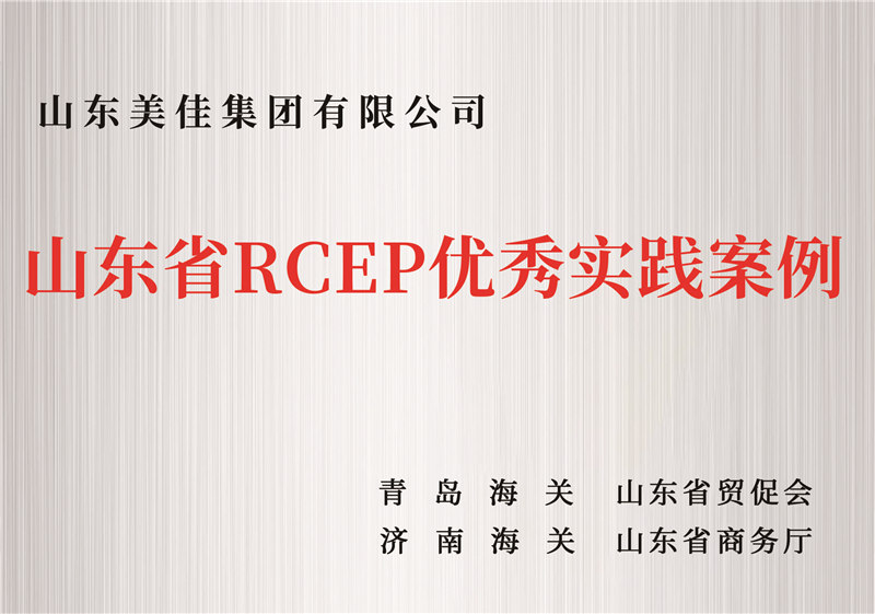 山东省RCEP优秀实践案例